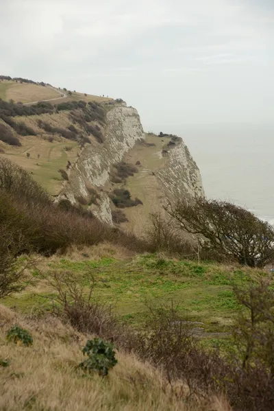 DSC_1311 (Large).JPG